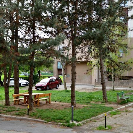 Three Aces Apartment Zemun エクステリア 写真